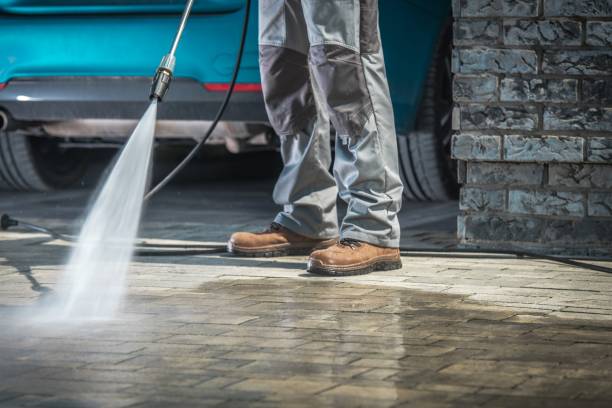  Fish Hawk, FL Pressure Washing Pros