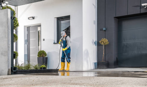 Best Driveway Pressure Washing  in Fish Hawk, FL